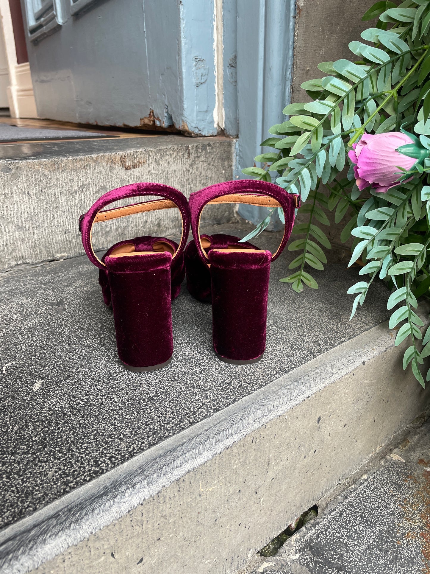 Esska Vanya Velvet Bordeaux