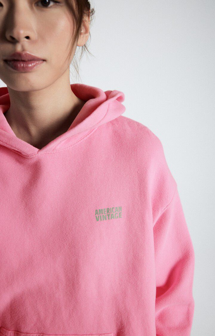 American Vintage Izubird Sweater With Hood