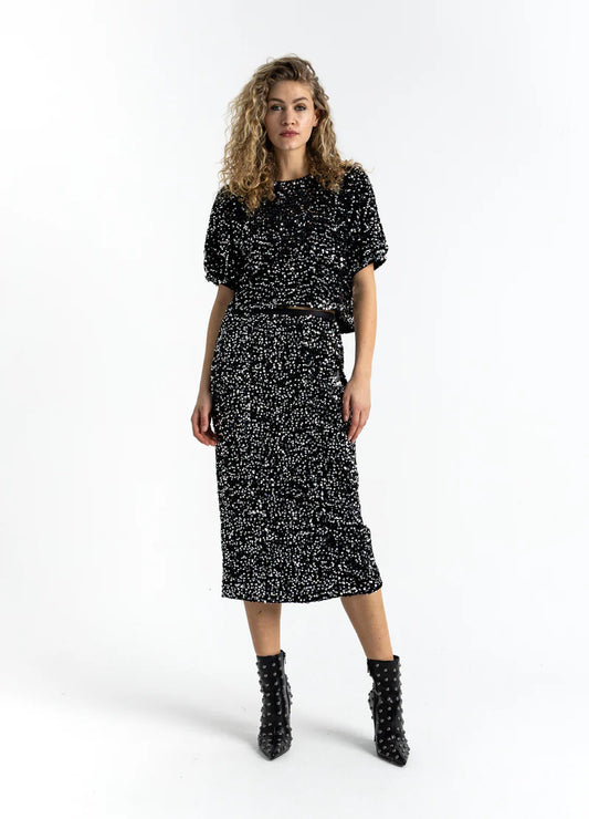Coster Copenhagen Silver And Black Sequins Skirts