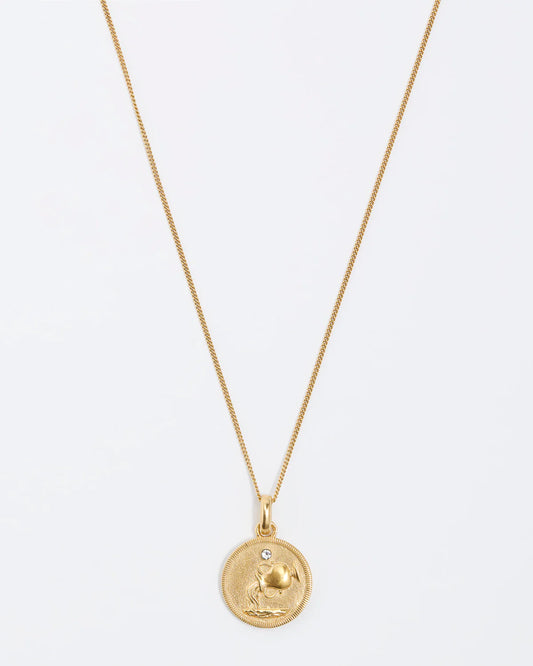 Soru Zodiac Pendant Necklace Aquairis